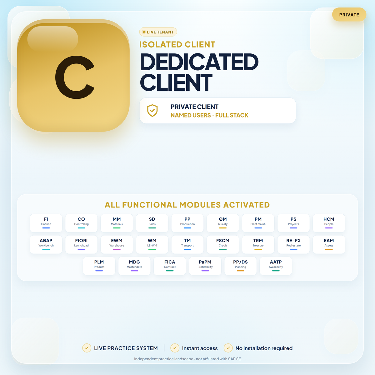 Dedicated client — all SAP functional modules activated — ERP Server Access